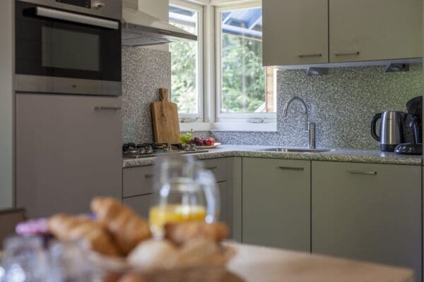 5-Persoons Luxe Vakantiehuis (A Luxe) in Assen Drenthe - Afbeelding 6
