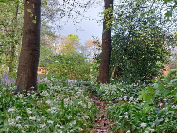 Basic buitenleven in de achtertuin. Oosterwolde