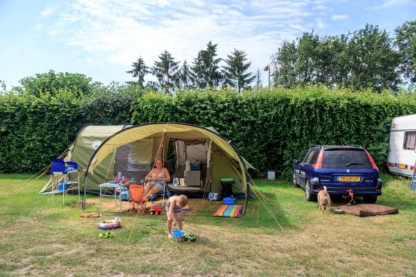 Camping De Holterberg in Holten Overijssel - Afbeelding 2