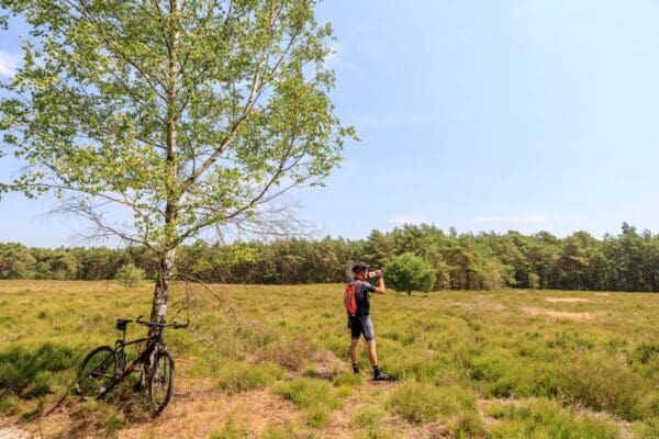 Camping De Holterberg in Holten Overijssel - Afbeelding 8