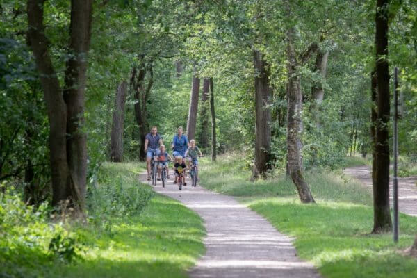 Camping De Noetselerberg in Nijverdal Overijssel - Afbeelding 8