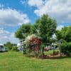 Camping De Somerweij in Someren Noord-Brabant - Afbeelding 3