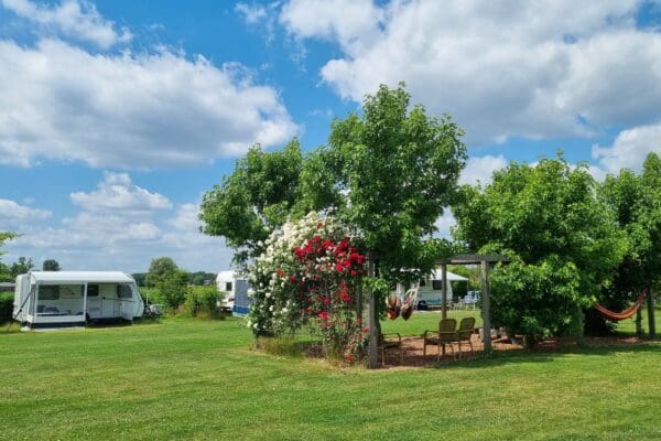 Camping De Somerweij in Someren Noord-Brabant - Afbeelding 3
