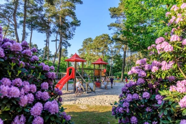 Camping Diana Heide in Amen Drenthe - Afbeelding 8