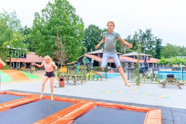Camping de Zandhegge in Emst Gelderland - Afbeelding 9