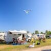 Camping en Beachresort Julianahoeve in Renesse Zeeland - Afbeelding 2