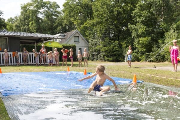 Camping en Bungalowpark De Haeghehorst in Ermelo Gelderland - Afbeelding 7