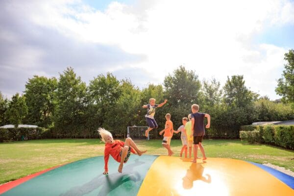 Strandcamping de Zwinhoeve in Retranchement Zeeland - Afbeelding 6