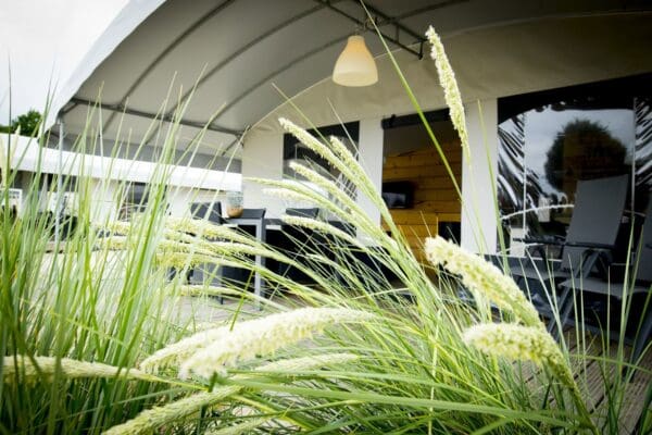Tentvilla 6p. in Udenhout, Noord-Brabant - Afbeelding 2