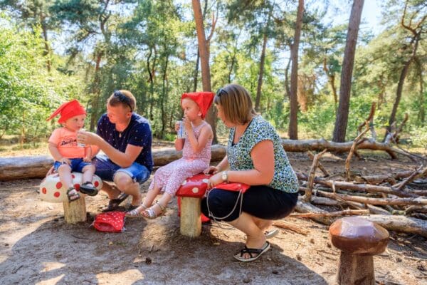 Vakantiecentrum De Ullingse Bergen in Sint Anthonis Noord-Brabant - Afbeelding 3