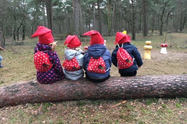 Vakantiecentrum De Ullingse Bergen in Sint Anthonis Noord-Brabant - Afbeelding 4