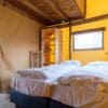 Verandalodge in Rheeze Overijssel - Afbeelding 11