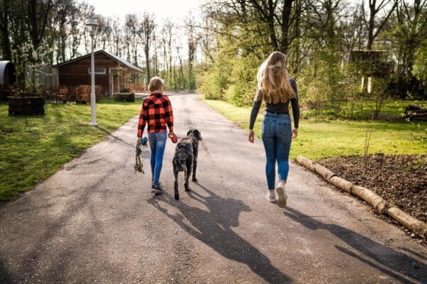 Buytenplaets Suydersee in Lelystad Flevoland - Afbeelding 3