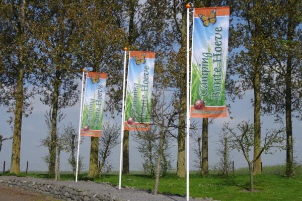 Camping Bonte Hoeve in Oostburg Zeeland - Afbeelding 3