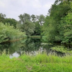 Natuurveldje met voldoende rust en ruimte. Okkenbroek