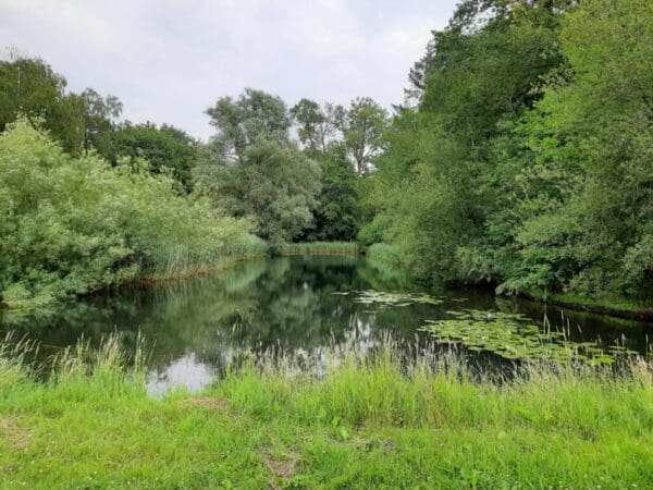Natuurveldje met voldoende rust en ruimte. Okkenbroek