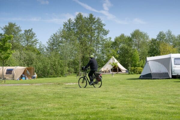 Camping De Wedze in Twijzel Friesland - Afbeelding 3