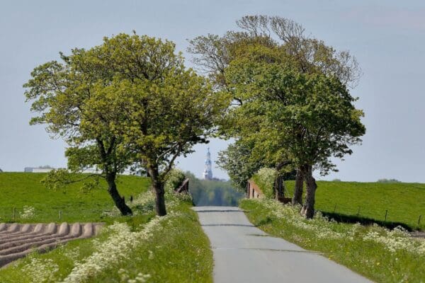 Camping Lentemaheerd in YES true - rentatentnederland.nl