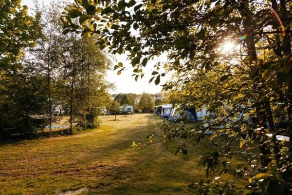 Camping Tikvah in Hooghalen Drenthe - Afbeelding 3