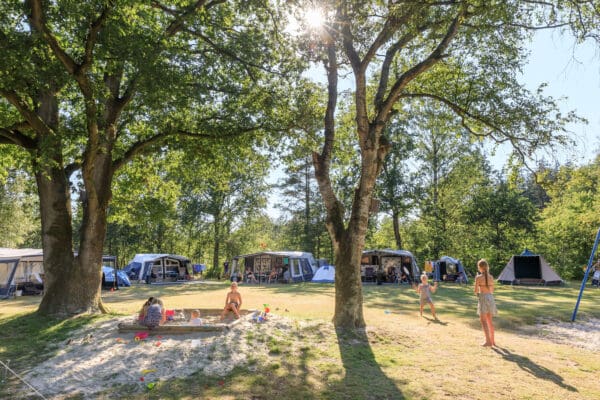 RCN de Roggeberg in Appelscha Friesland - Afbeelding 2