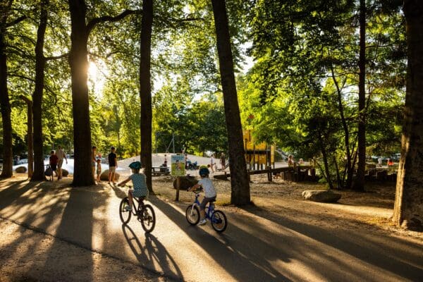 RCN het Grote Bos in Doorn Utrecht - Afbeelding 2