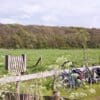 Minicamping Pitteperk in Koudekerke Zeeland - Afbeelding 3