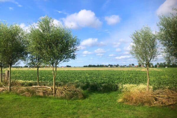 Minicamping De Heuvel in YES true - rentatentnederland.nl