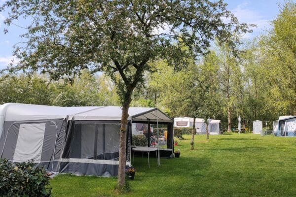 Camping De Zwammenberg in De Moer Noord-Brabant - Afbeelding 2