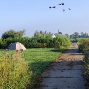 Voedselbos camping | Kwekerij Koperwiek [kleinschalige natuurcamping]. Hazerswoude-Dorp