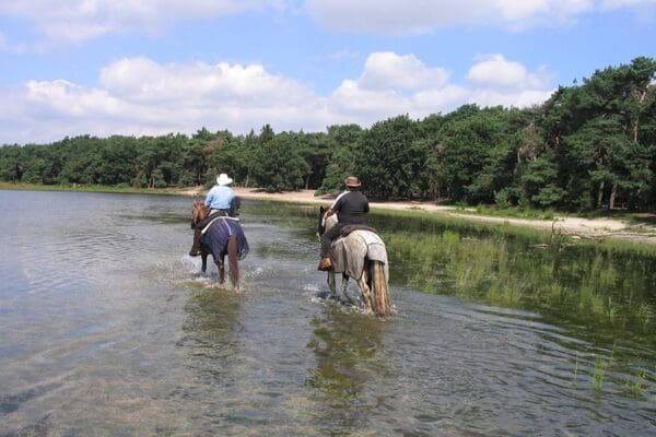 Camping De Heibloem in YES true - rentatentnederland.nl
