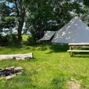 Eco-camping met Friese paarden