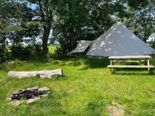 Eco-camping met Friese paarden