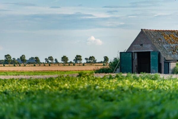 Landgoed Oud Bommenede