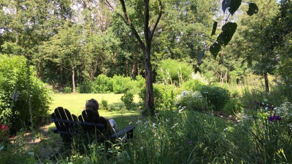 Mijn tuin in de Zoeke