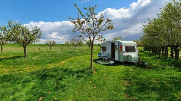 Mooi plekje in de boomgaard aan de dijk. angeren