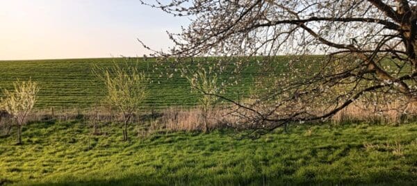 Mooie en rustige kampeerplek in de buurt van Bemelen