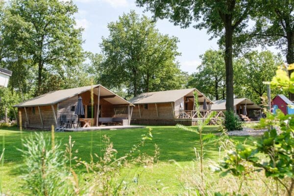 Rheezerlodge DeLuxe laag in Rheeze Overijssel - rentatentnederland.nl