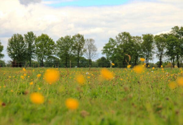 Rust en Ruimte