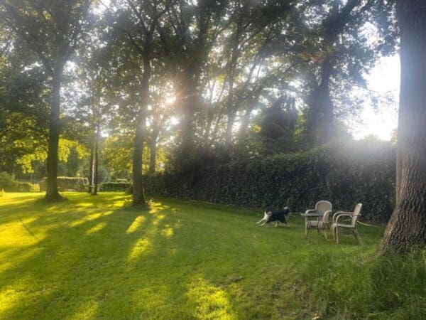 Campspace in Bladel