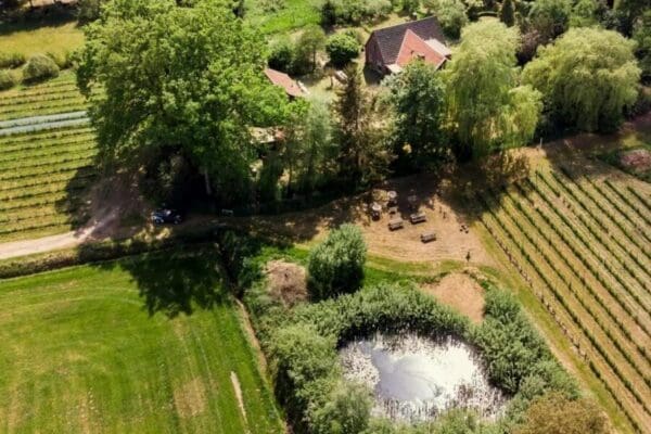 Logeren/kamperen op onze stille wijngaard in Winterswijk Kotten
