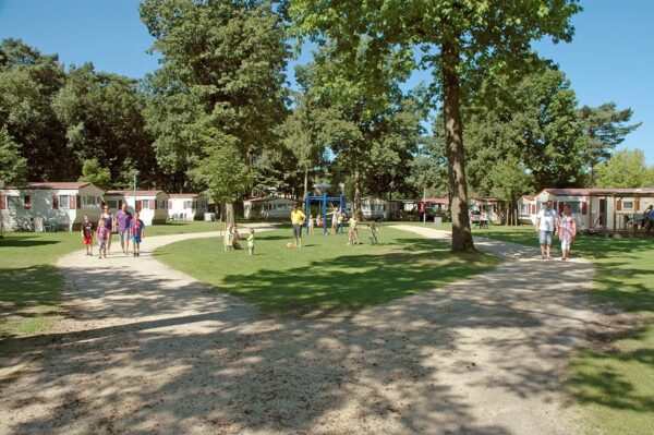 Ardoer Camping De Heldense Bossen in YES true - rentatentnederland.nl