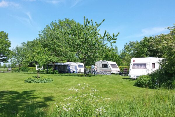 Camping Lentemaheerd in Uithuizermeeden Groningen - Afbeelding 2