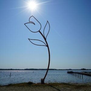 EuroParcs Zuiderzee in YES true - rentatentnederland.nl
