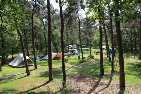 Huttopia De Veluwe in Kootwijk Gelderland - Afbeelding 2