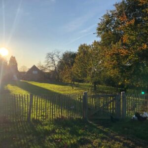 2000m2 tuin met dierenweide vlakbij Den Bosch. Haarsteeg