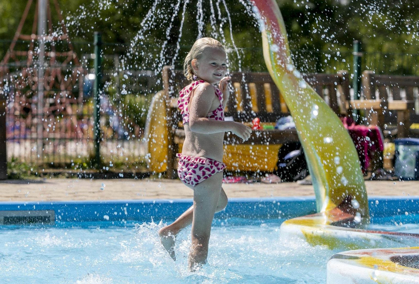 5-persoons Camphome in Assen Drenthe - Afbeelding 13