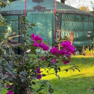 Authentieke Yurt❤️ Alle seizoenen een feest!. Nieuwleusen