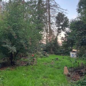 Bivakplek in omgevormd voedselbos. NEDERWEERT-EIND