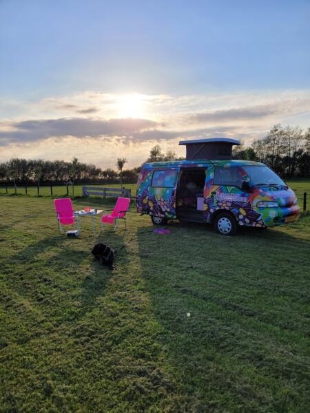 Camperplaats Camping Hasselt. Hasselt