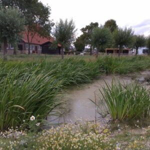 Camping Boerderij de Schans. Klundert